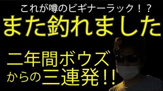 【高滝湖】また釣れちゃいました、これが噂のビギナーズラック！？