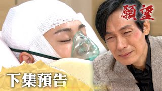 願望 EP80預告｜用生命去愛的女人！奈美腦死離去 心裡掛念進輝碧玉！麗紅終於要贖罪 願意放手離婚？｜【十全果醋】