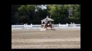 Lazy Lopin Loretta Western Pleasure Mare