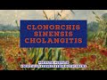 Clonorchis sinensis cholangitis