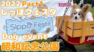 【犬イベント】しっぽフェスタPART1🐶昭和記念公園へ遊びに行ってきたよ‼️【犬vlog】【dog event】【RADIO FLYER】