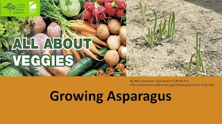 Growing Asparagus in VA