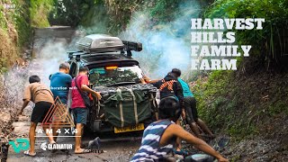 Harvest Hills Family Farm / Nasugbo Batangas Philippines / Stance Car Camping / Kia Picanto