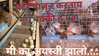 बटेर पालन करताय मग हा विडीवो नक्की पहा/ Bater farming@आपला शेतकरी