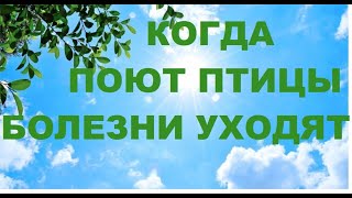 ПЕНИЕ ЛЕСНЫХ ПТИЦ УСПОКОИТ НЕРВНУЮ СИСТЕМУ,ЗВУКИ ИЗДАВАЕМЫЕ ПТИЦАМИ ЦЕЛИТЕЛЬНЫ И  ВЫСОКОВИБРАЦИОННЫ.