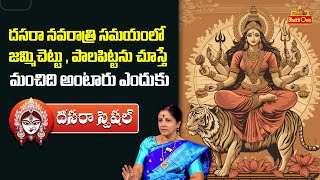 Importance of Dasara Jammi Chettu and Palapitta | Divya Sri Ramana Chakravarthula | BhaktiOne