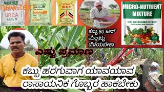 ಕಬ್ಬು ಹರಗುವಾಗ ಯಾವ ಯಾವ ರಾಸಾಯನಿಕ ಗೊಬ್ಬರ #fartilizer #managment #sugarcane #agriculture #kannada