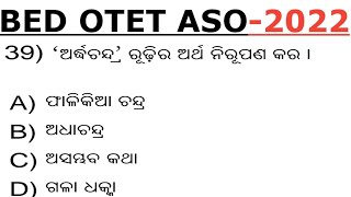 Odia Grammar For BEd,OTET,ASO 2022 I