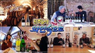 [🇫🇷 취해서 와인속으로] #3 아몰랔 30분짜리 브이로그 처음만들어 ㅋㅋㅋㅋㅋㅋㅋㅋ (와인 여행브이로그)