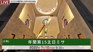 2022年7月10日 - 年間第15主日ミサ  -