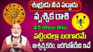 శుక్రుడు నీచ పడ్డాడు | Vruschika Rasi Phalalu 2024 Telugu | Vruschika Rasi Phalalu October 2024