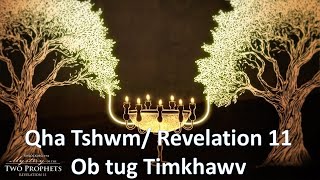 Qha tshwm/ Revelation 11, Ob tug Tim khawv