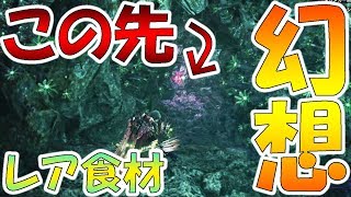 【MHW実況】やばい！300時間やってるのに丘珊瑚の14番行ったことなかったｗｗ【モンハンワールド】