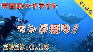 【石垣島ダイビングVLOG】パナリのマンタポイント！マンタ祭り！