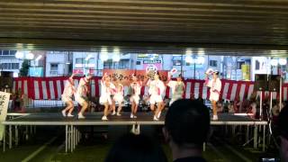 第39回經堂祭典　阿波舞踊表演　紫陣頭（紫連；むらさき連）