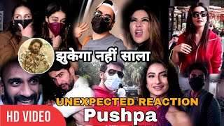 Bollywood Celebrities UNEXPECTED Reaction on Pushpa Movie SUCCESS | Allu Arjun, Rashmika Mandanna