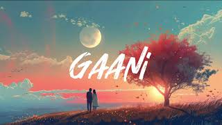 Gaani Lofi I Slow + Reverb I Akhil