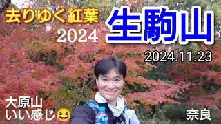 生駒山  去りゆく紅葉を求めて2024