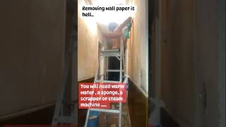 Removing wallpaper ‼️ #subscibe #f4fofficial #f4official #dance #wallpaper #remove #water #glue