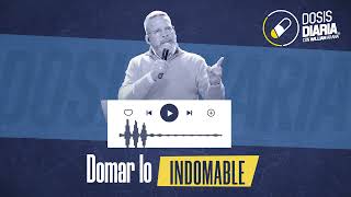 Dosis Diaria Roka - Domar lo indomable