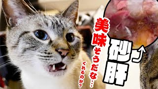 猫が食べるの！？砂肝をあげてみた結果…