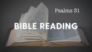 Bible Reading Day 27