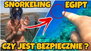 SNORKELING EGIPT 13.06.2023 !!! CZY JEST BEZPIECZNIE ? #shark