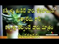 నిత్య జీవితం సత్యలు best motivational quotes in తెలుగు