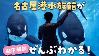 これを見たら名古屋港水族館が100倍楽しめる！シャチ・イルカ・ベルーガの裏側ぜんぶ見せます♪