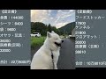 【サモエド】リク飼育費用（2021年）【リク】