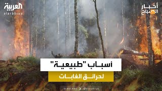 أسباب حرائق الغابات