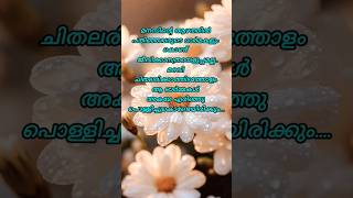 ഓർമ്മകൾ മറക്കാൻ #youtubeshorts #motivation #malayalam #quotes #emotional #life #lifequotes #sad #1k