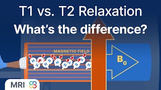 What’s the difference between T1 and T2 relaxation? - MRI physics explained