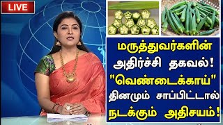 வெண்டைக்காயின் அதிர்ச்சி தகவல்! | Benefits of Vendakkai in Tamil | Lady's Finger Health Tips Tamil