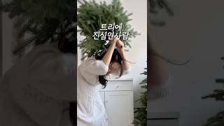 평생쓸트리 아무거나 사지마세요🌲‼️‼️#공구예고 까사무띠 트리공구알림신청 댓글로🔔