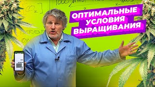 Оптимальные условия выращивания каннабиса | Maximizing Yelds | Лекция Брюса Багби | Озвучка Dzagi