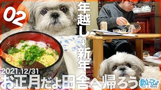 【2021.12/31】お正月だよ田舎へ帰ろうシーズー犬てんぽvol.02【大晦日】