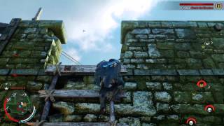 Shadow of Mordor: Mission 22, His Precious