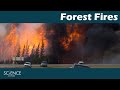 Forest Fire Research (Science At Work)