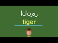 كيف أقول النمر باللّغة الإنجليزيّة