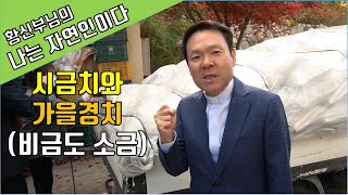 20/11/03 나는 자연인이다 24부 시금치와 가을경치(비금도 소금)