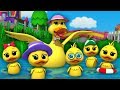 Lima bebek kecil | sajak anak-anak | Nursery Songs | Five Little Ducks