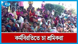 দৈনিক মজুরি তিনশ টাকা করার দাবিতে চা শ্রমিকদের কর্মবিরতি | Rtv News