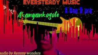 Akanyankogote by Eversteady .. audio visualization