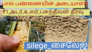 சைலேஜ்,Silege ,நவீன பால் பண்ணையின் அடையாளம்@deejayfarming8335