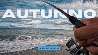 SPINNING medio INSHORE inizio AUTUNNO: prime mareggiate TANTI PESCI!