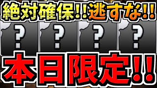 【本日限定】逃すとマズイ絶対確保して！4選！取り方解説まで！【パズドラ】