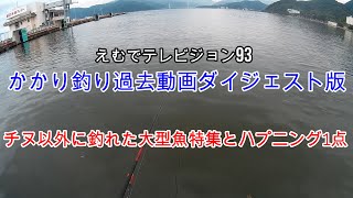 えむでテレビジョン93　「＃かかり釣り」「＃チヌ釣り」かかり釣り過去動画ダイジェスト版　チヌ以外に釣れた大型魚特集とハプニング1点