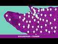 How to Vote (Simplified Chinese)