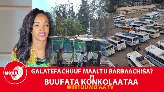 GALATEFACHUUF MAALTU BARBAACHISA?   FI  BUUFATA KONKOLAATAA  | MO'AA TV